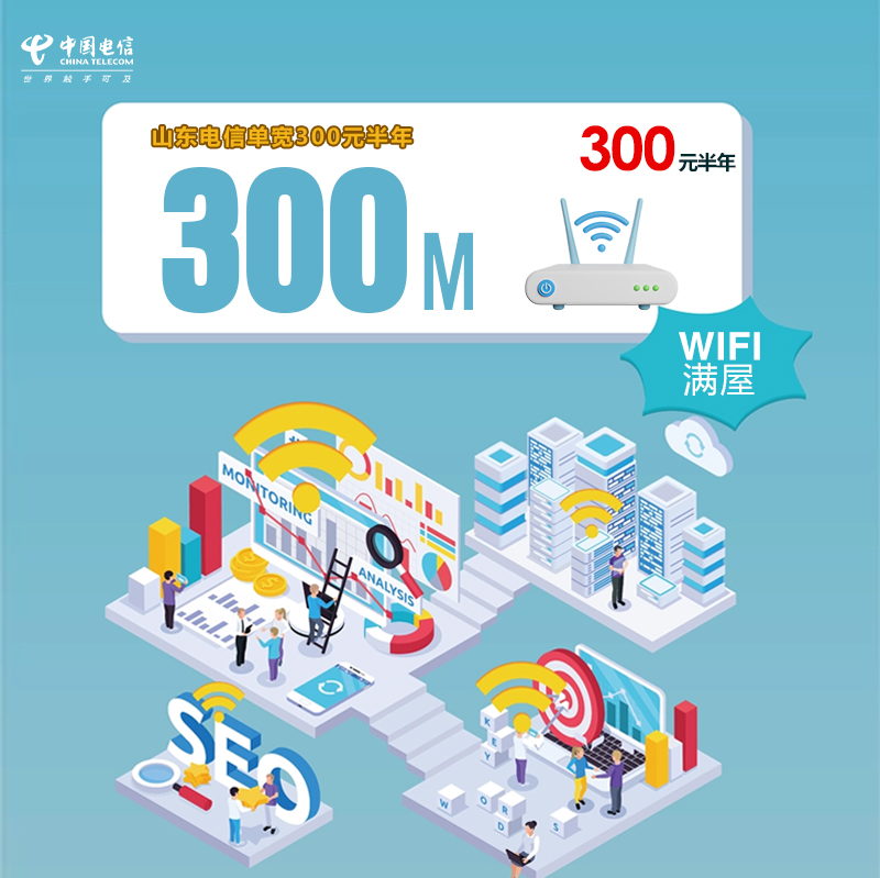  172号卡分销系统-山东电信单宽300M300元半年-172号卡推荐码77777777
