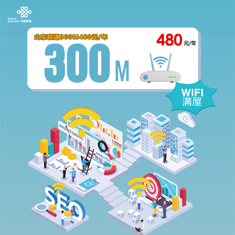 172号卡分销系统-山东联通300M480元/年-172号卡推荐码77777777